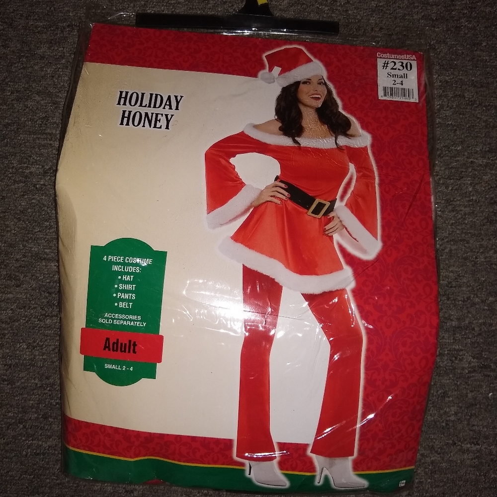 Christmas dress